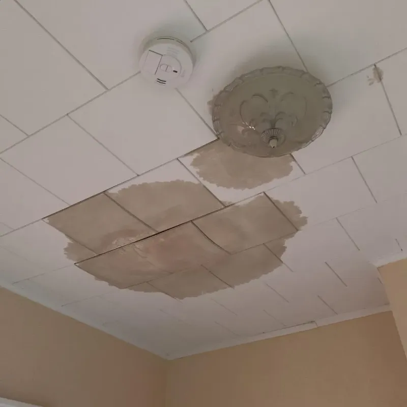 Ceiling Water Damage Repair in Evans City, PA