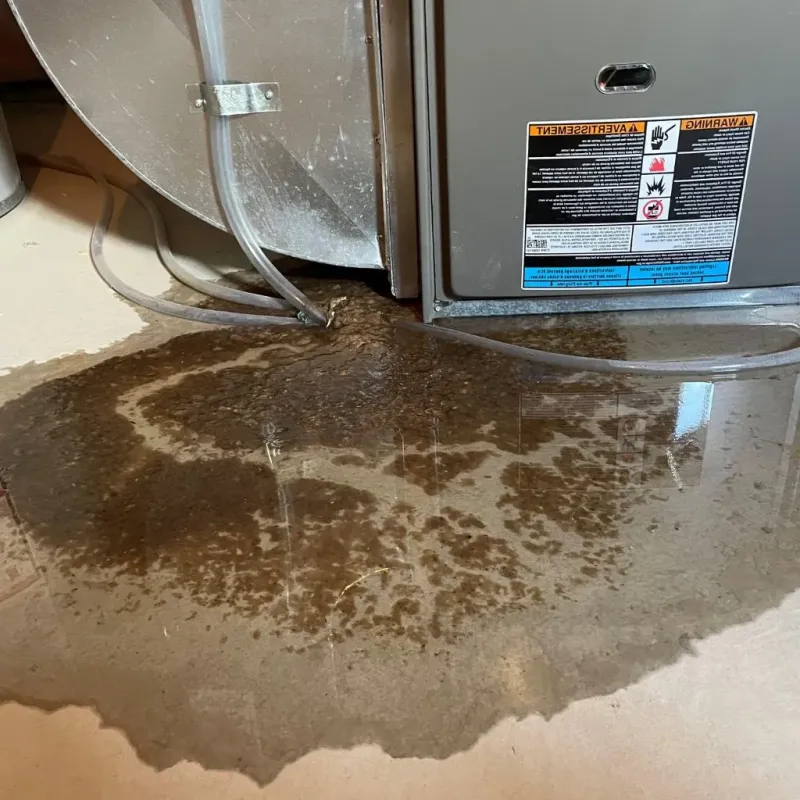 Pipe Burst and Leak Restoration in Evans City, PA