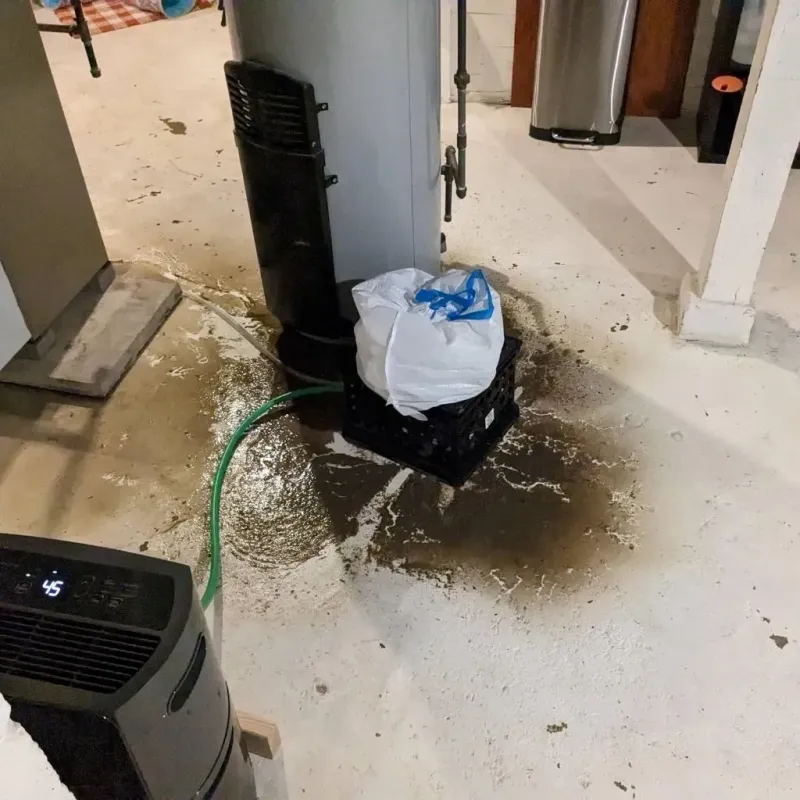 Sewage Backup Cleanup Service in Evans City, PA